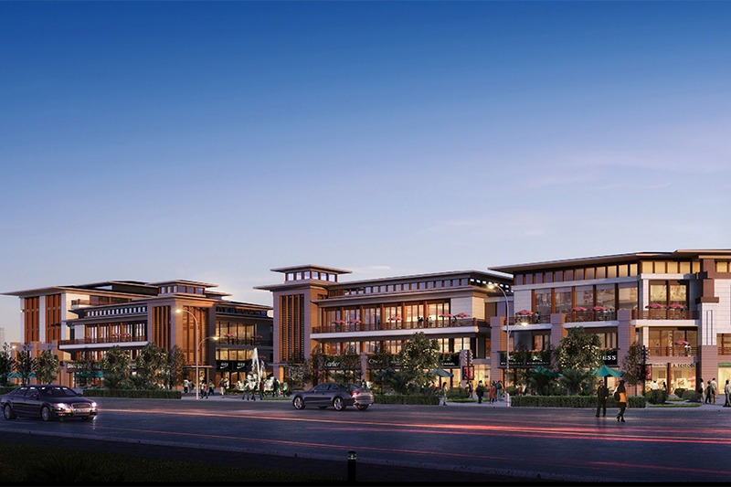 武昌臨江大(dà)道(dào)9号地(dì)塊開(kāi)發項目 (1)